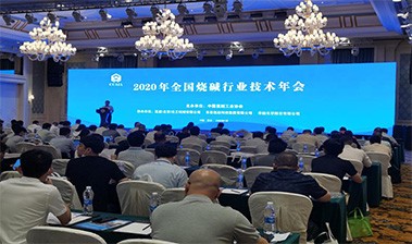 2020 National caustic soda Industry annual meeting held smoothly